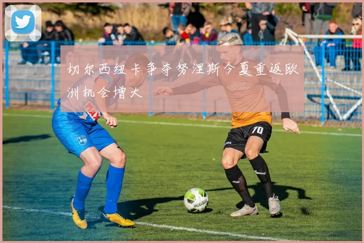 切尔西纽卡争夺努涅斯今夏重返欧洲机会增大